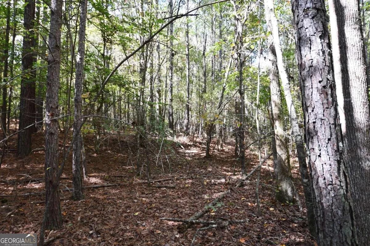 00001 Poplar Springs Rd, Buchanan