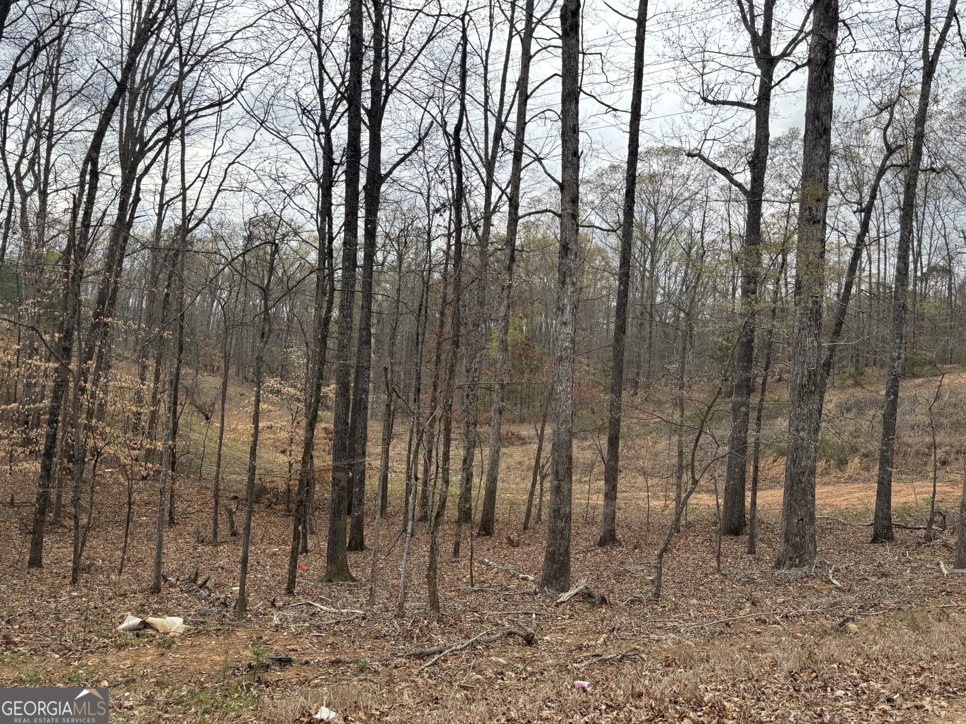 0 Summer Lake Rd, Lithia Springs