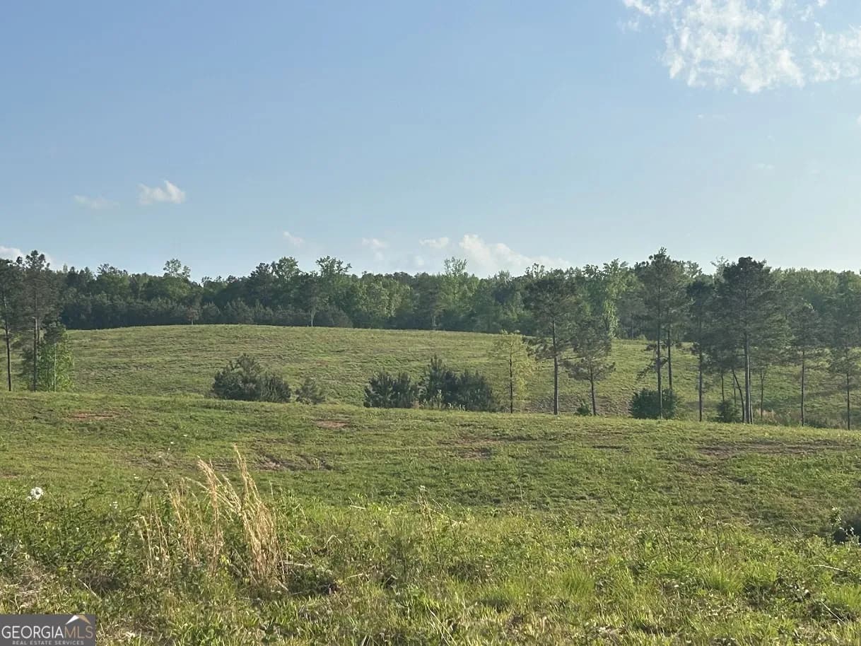 0 Needmore Road - (345.37 Acres), Roopville