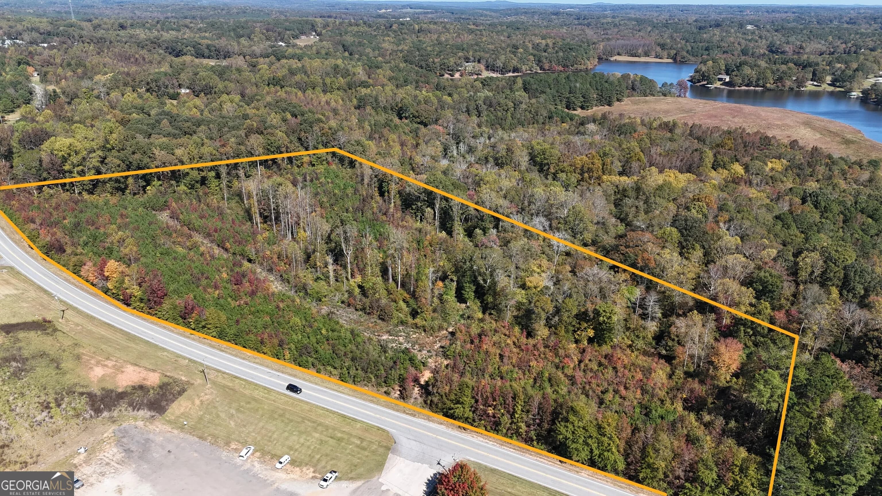 0 Hwy 100, Bowdon