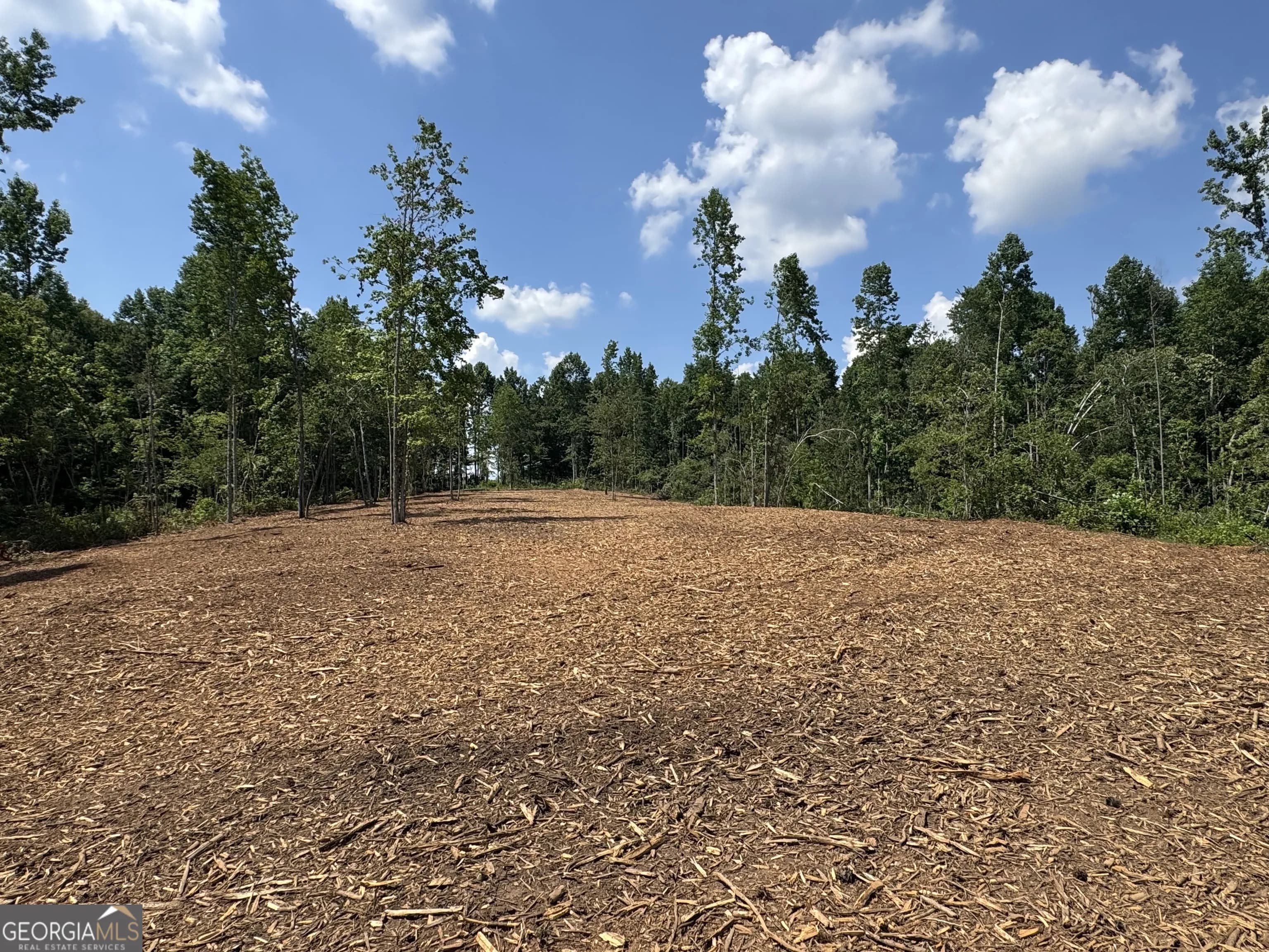 Lot 4 Happy Hollow Rd, Roopville