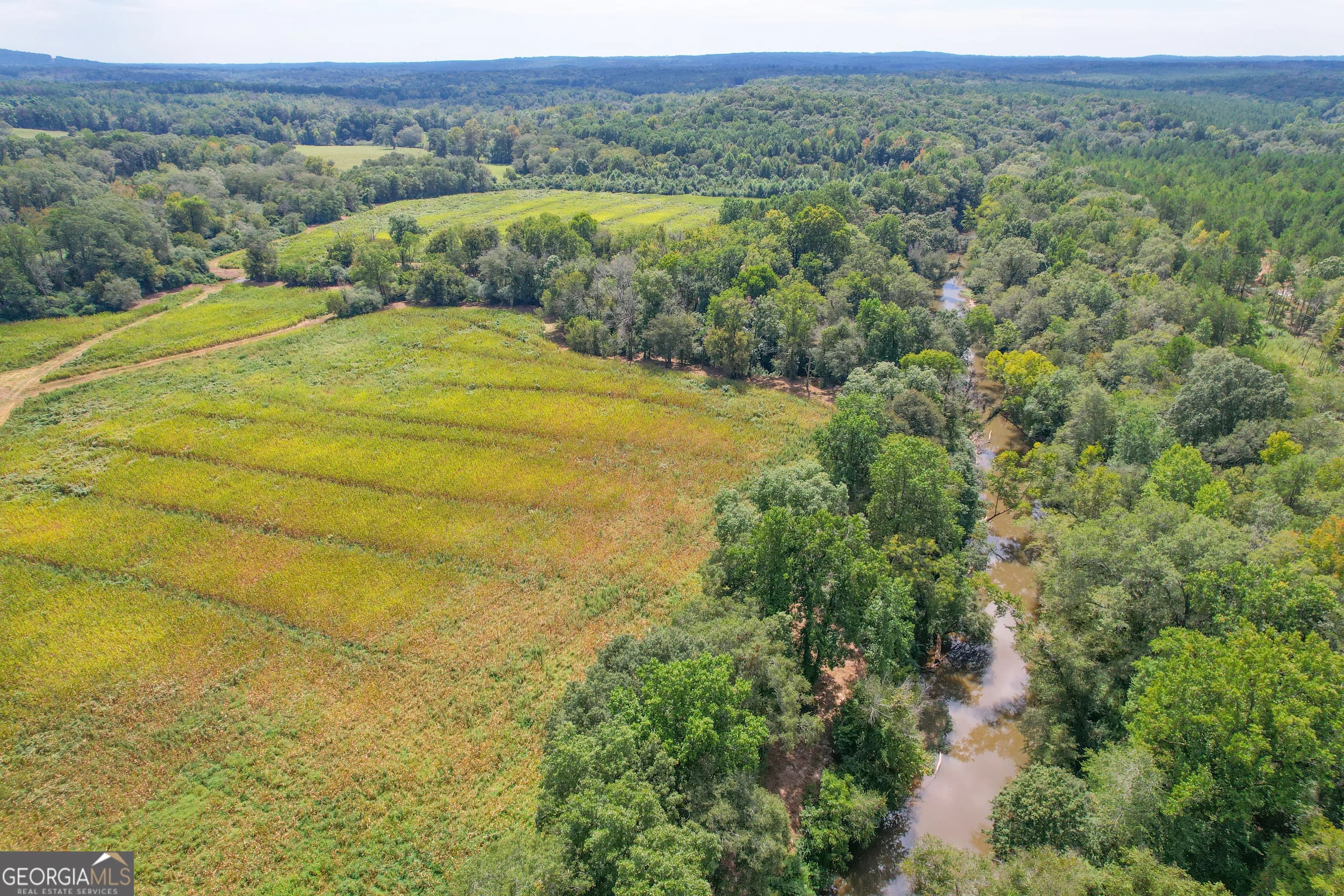 50 +/- Acres Off Ga Hwy 78, Tallapoosa