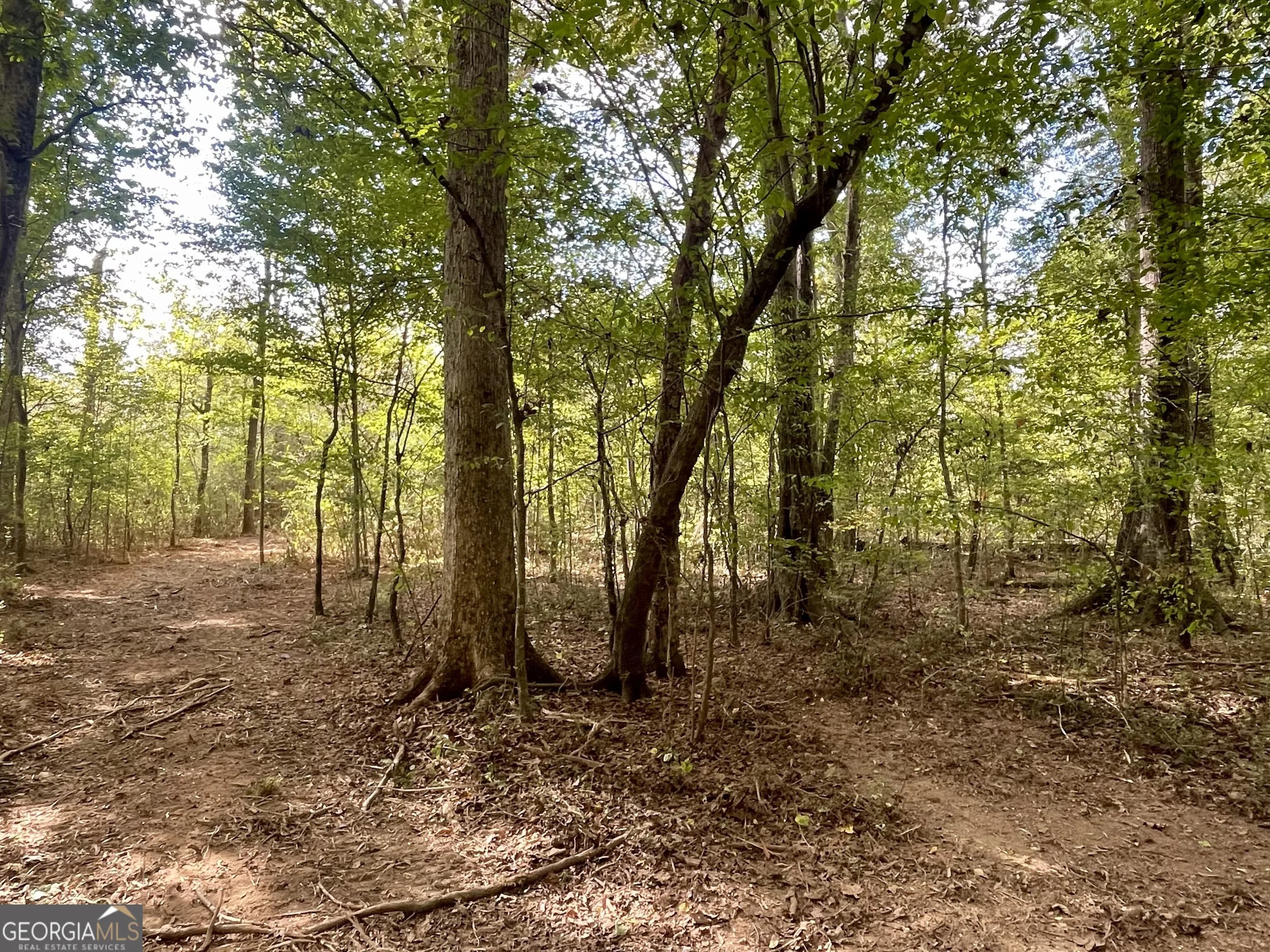0 Buffalo Creek Rd, Carrollton