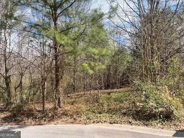 78 Heights Holw, Acworth
