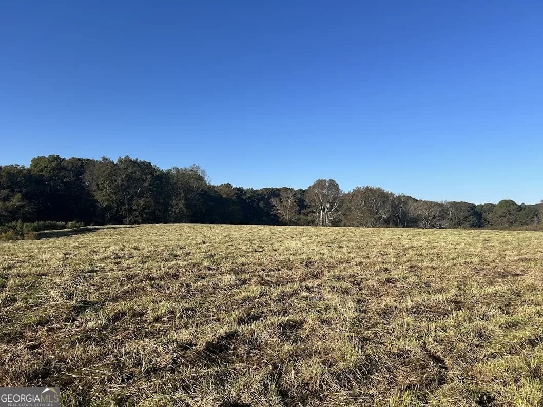 0 Old Columbus Rd, Bowdon