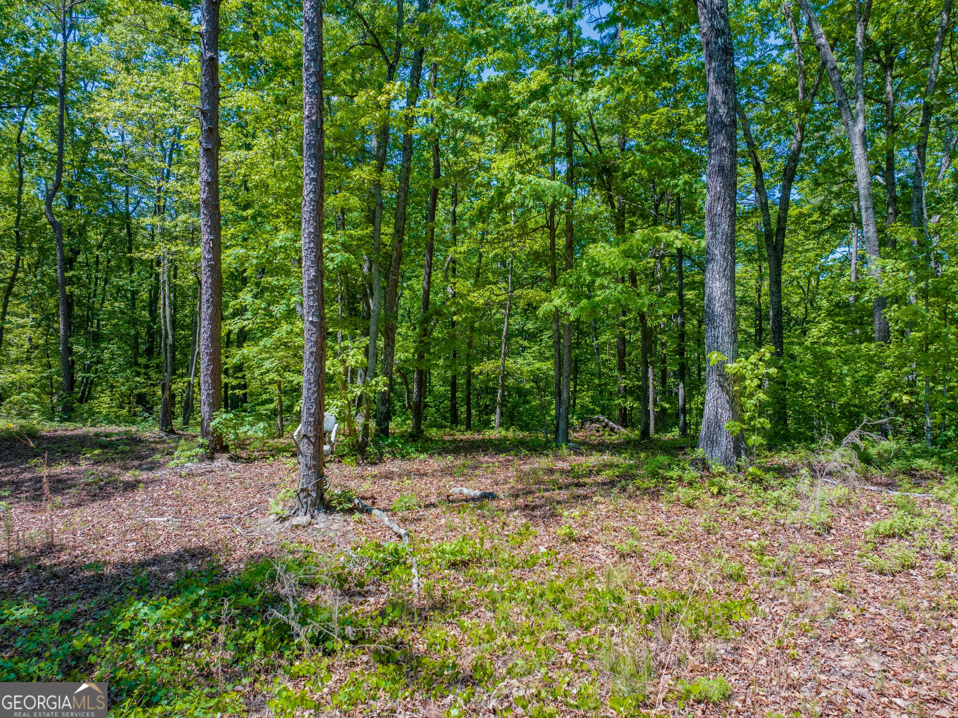 16 Acres Gun Club Rd, Buchanan
